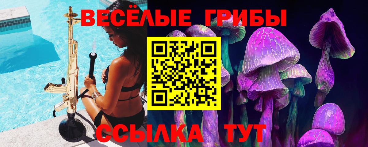 Галлюциногенные грибы Psilocybe Зеленогорск