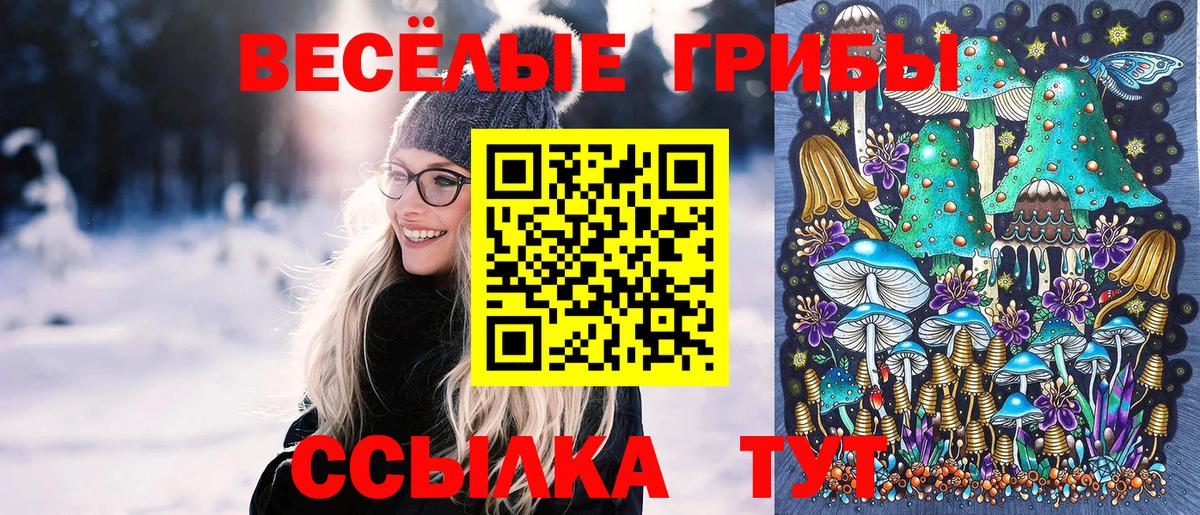 купить наркотик  Галлюциногенные грибы мицелий  Вход с VPN  Зеленогорск 